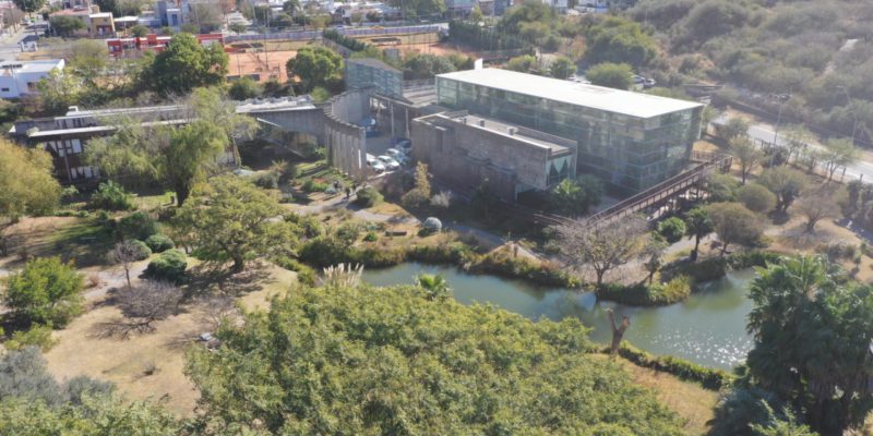 El Jardín Botánico Reabrió Sus Puertas