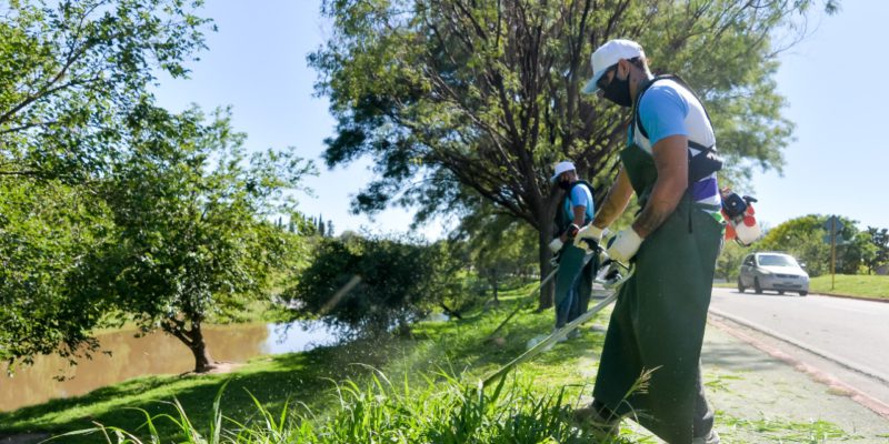 La Municipalidad Fortalece El Mantenimiento De Espacios Verdes