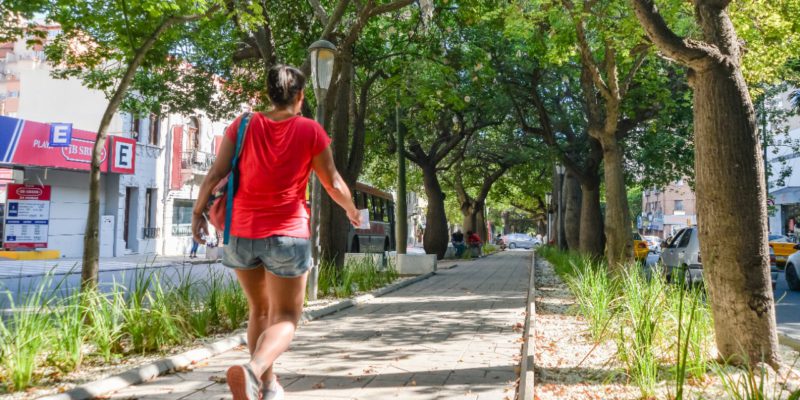 Recuperan El Cantero Central De Bulevar Chacabuco