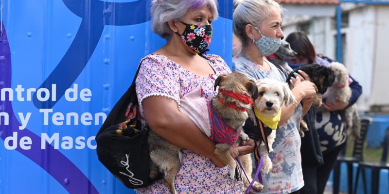La Municipalidad De Córdoba Pone En Marcha 2 Móviles De Castraciones Gratuitas Para Mascotas Domésticas Y En Situación De Calle