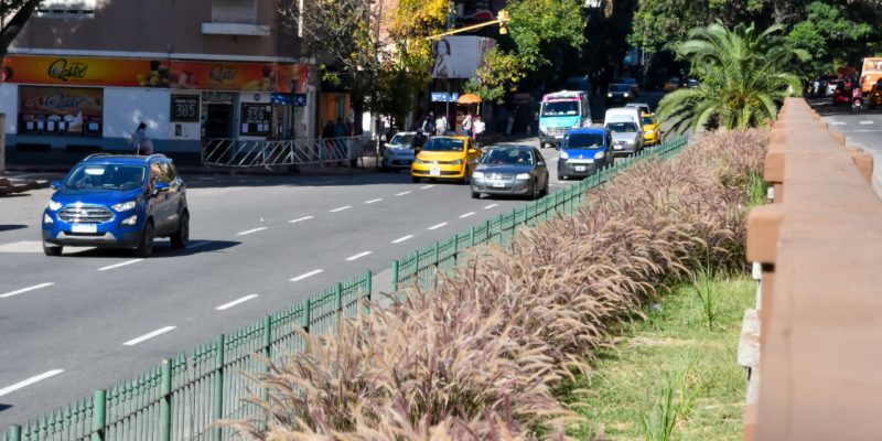 Comenzaron Las Tareas De Puesta En Valor Del Cantero Central De Los Bulevares San Juan Y Arturo Illia