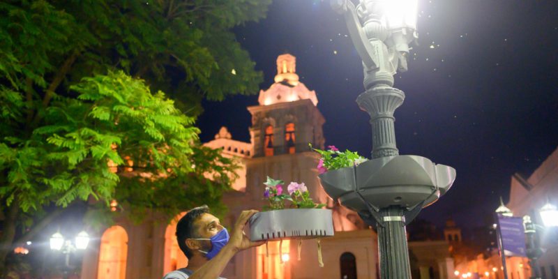 Colocan Macetas En Altura Con Sistema De Riego Autónomo En Farolas De La Plaza San Martín