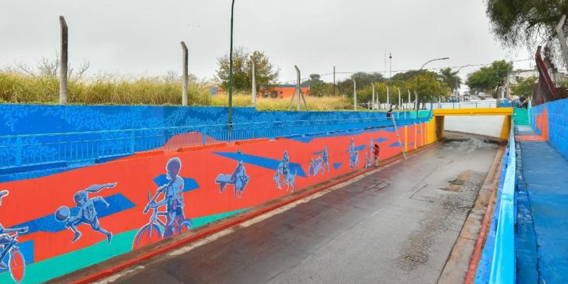 El Municipio Y Organizaciones Barriales Le Dan Vida Al Viaducto De La Calle Polonia