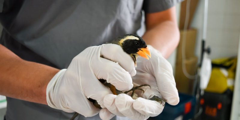 La Provincia Oficializó Al Parque De La Biodiversidad Como Centro De Rescate