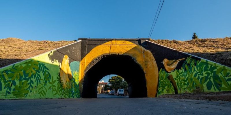 Apareció Un “Nido De Hornero” En Barrio San Vicente