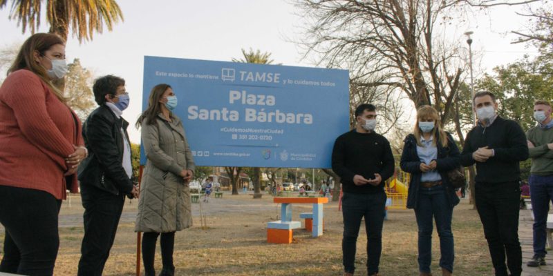 TAMSE Ya Recuperó 45 Plazas