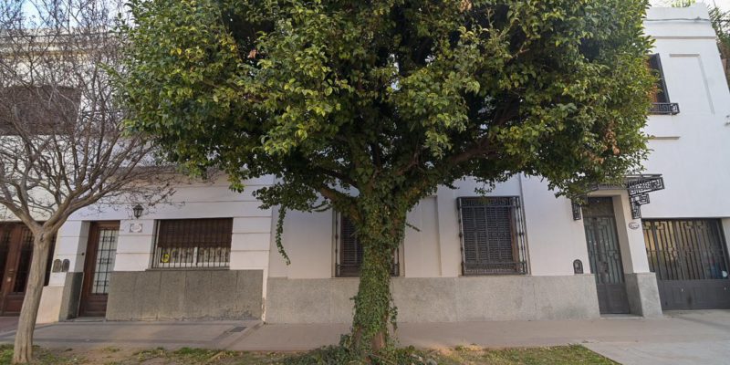 El Municipio Recuerda La Normativa Sobre La Poda Y Extracción De árboles En Vereda
