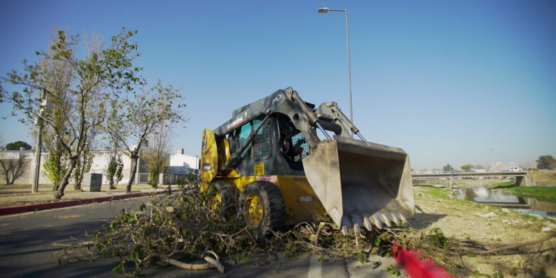 Continúa La Recuperación De Costanera Sur