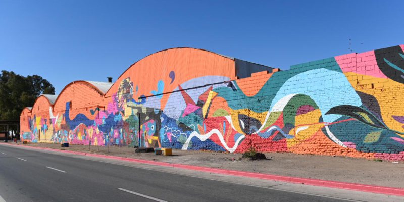Más De 800 Metros Cuadrados De Arte Se Plasmaron Sobre Costanera Sur