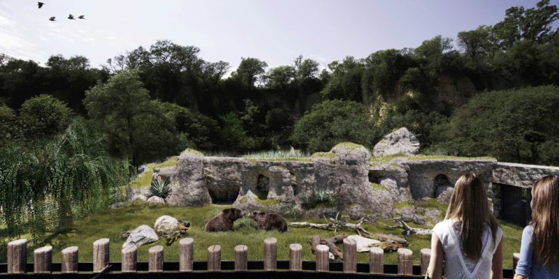El Parque De La Biodiversidad Tendrá Un Santuario Para Los Osos