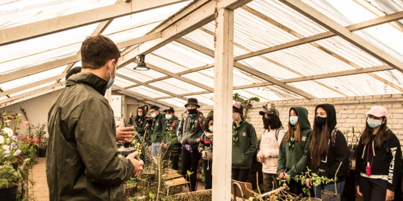 Grupos De Scouts Se Capacitan Sobre Especies Nativas En El Vivero Municipal