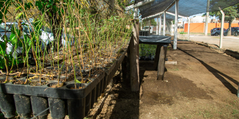 Se Inauguró El Primer Vivero Agroforestal En El Parque Educativo Sur