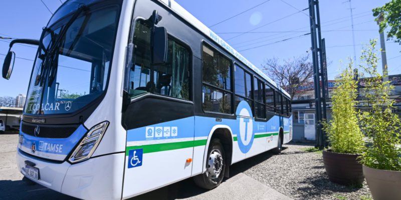 El Transporte Urbano Será Gratuito El Domingo 3 De Octubre