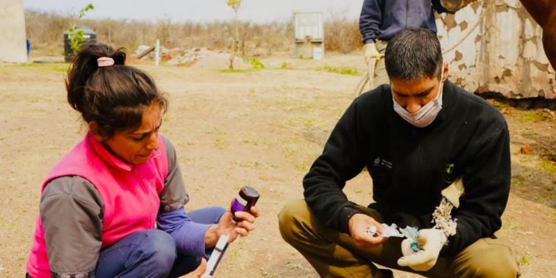 Personal Del Parque De La Biodiversidad Asiste A Los Animales Afectados Por Los Incendios