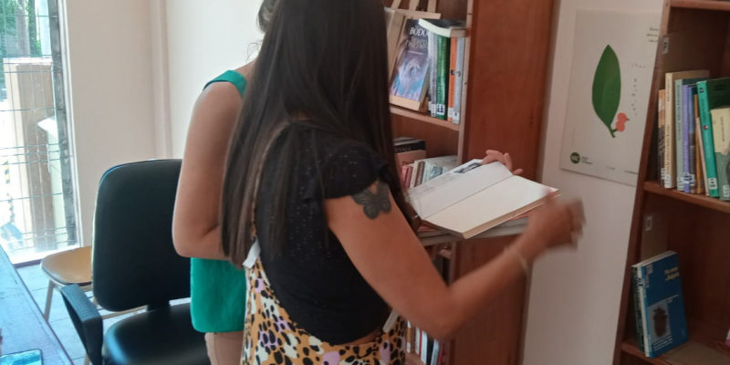 Un Nuevo Espacio Para La Biblioteca Pedagógica Municipal “Rosarito Vera Peñaloza”