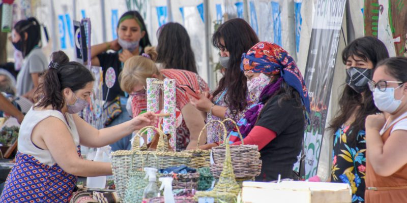 Regresan Los Paseos De La Economía Social