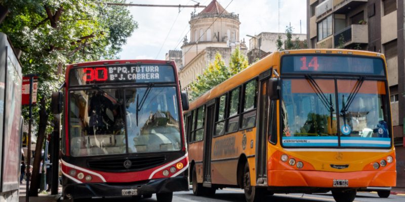 Acampe Del Polo Obrero: Cambios En El Recorrido De Ocho Líneas Del Transporte Urbano