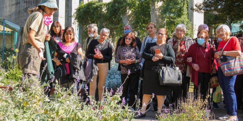 Centros De Día Y De Jubilados Realizan Visitas Guiadas Gratuitas En El Jardín Botánico