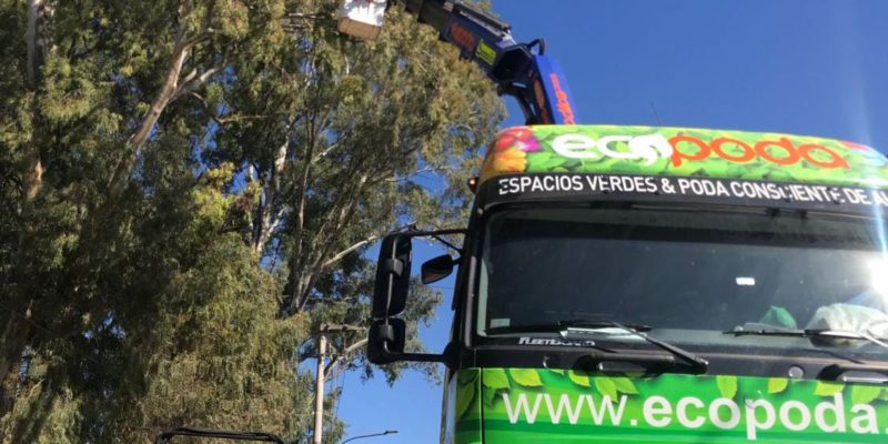 Podan árboles De Alto Riesgo Sobre Elías Yofre Y Valparaíso