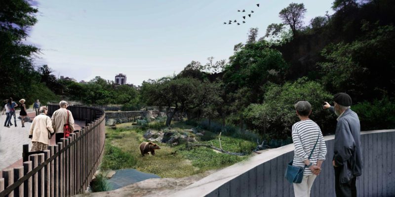 Comenzaron Las Obras Del Ambiente Para Osos En El Futuro Parque De La Biodiversidad
