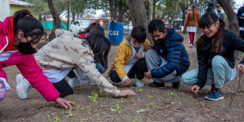 Abren Las Inscripciones De Escuelas Verdes Para El Mes De Agosto
