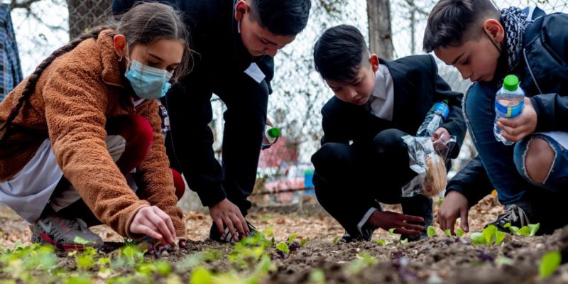 Programa Escuelas Verdes: Tres Escuelas Municipales Lideran La Educación Ambiental En Córdoba