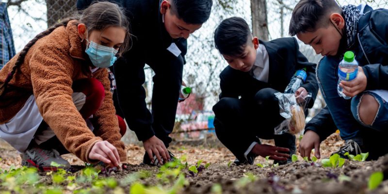 Programa Escuelas Verdes: tres escuelas Municipales lideran la educación ambiental en Córdoba