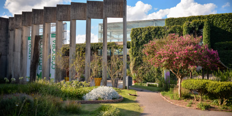 El Jardín Botánico Festeja El Día De Las Infancias Con Un Finde Lleno De Diversión