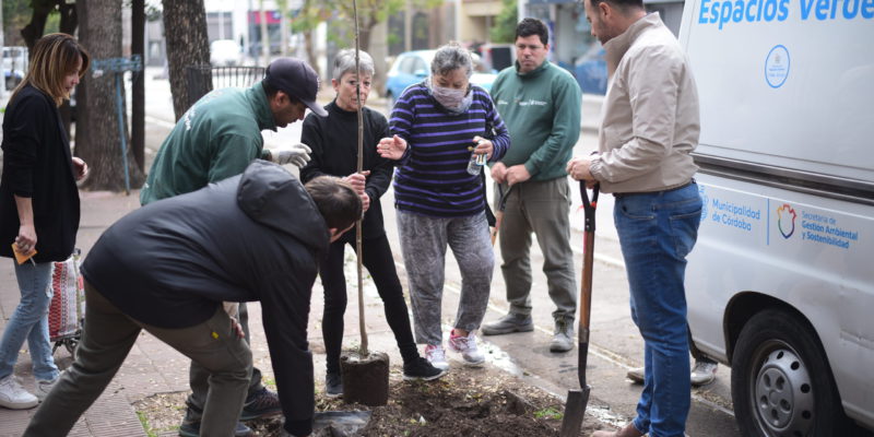 El Mes Del árbol Se Celebra Con Forestaciones Y Actividades Para Los Vecinos