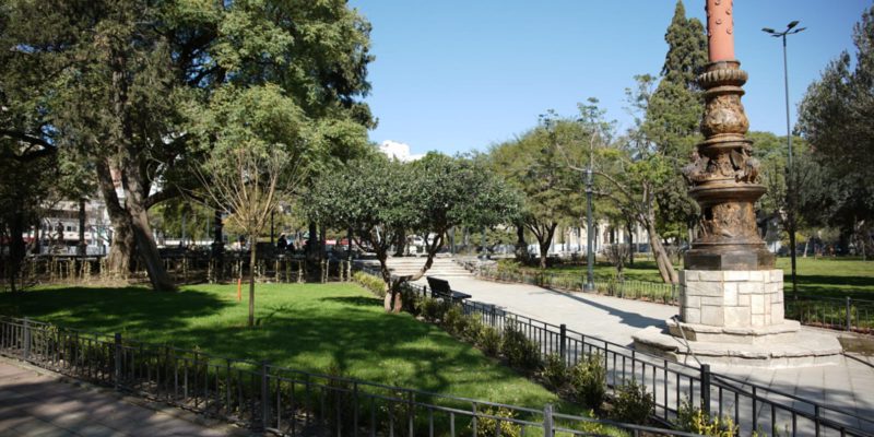 Más Verde Para La Plaza Colón: Colocaron 3.500 Metros Cuadrados De Césped En Todos Los Canteros