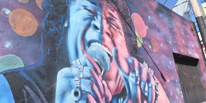“La Mona” Y Su “universal” Mural En El Sargento Cabral