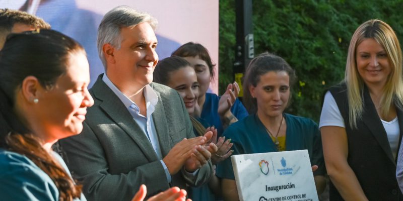 El Municipio Pasó De 450 A 3200 Castraciones Mensuales De Animales De Compañía